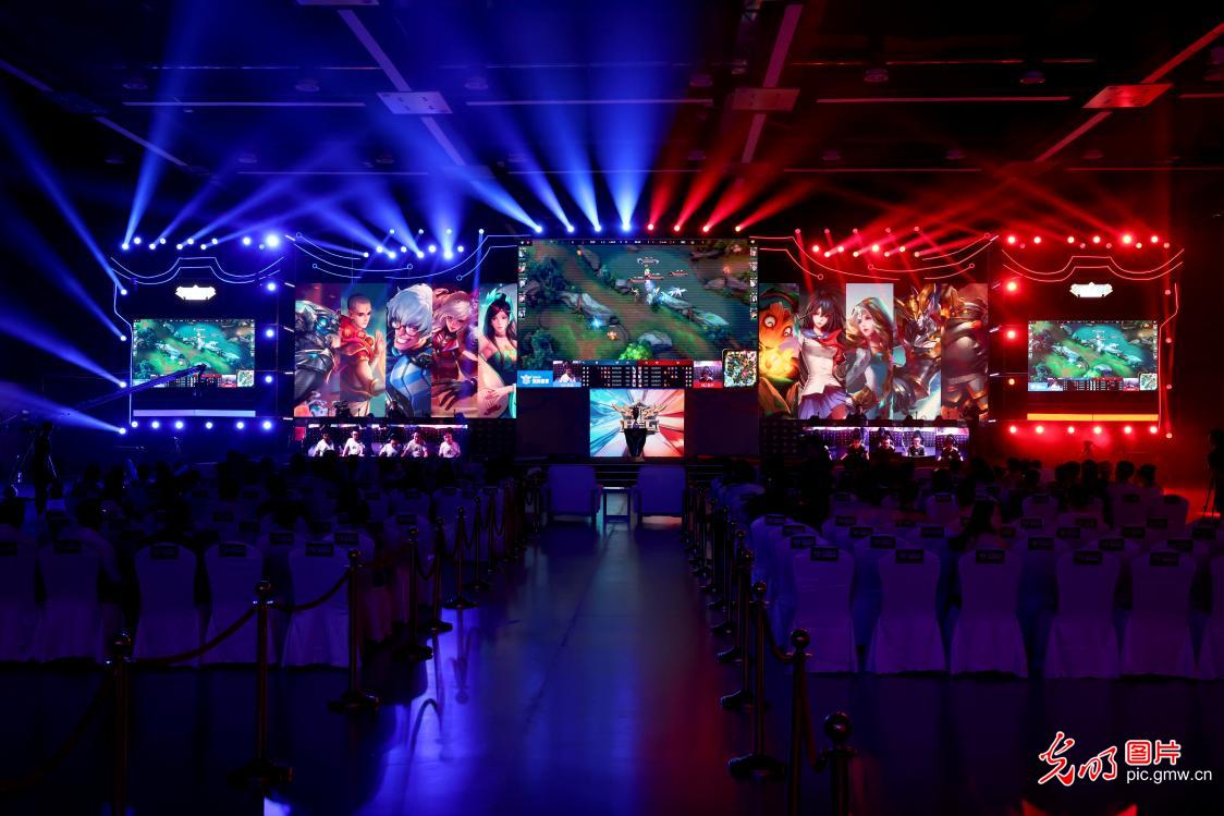 重要因素 重要因素